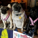North Straits Animal Clinic