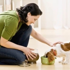 Greene Valley Pet Care Services