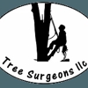 Tree Surgeons LLC gallery