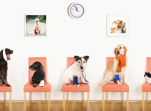 Ashcroft Veterinary Surgeons - Ashcroft, NSW