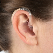 Gallery Image Number 2