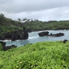 Waianapanapa State Park gallery