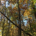 Bernheim Arboretum & Forest