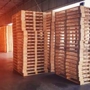 Pioneer Pallet BCI