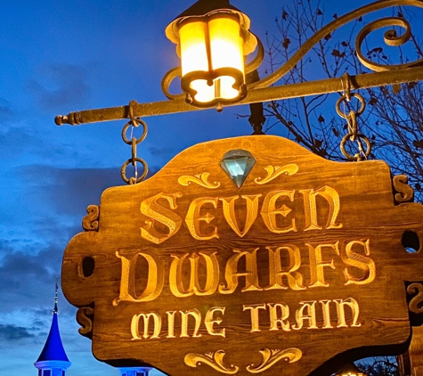 Seven Dwarfs Mine Train - Lake Buena Vista, FL