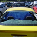 Chapman Auto Glass - Windshield Repair