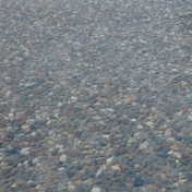 Gallery Image Number 4
