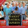 Gulf Coast Exterminators gallery