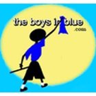 The Boys in Blue Window Washing