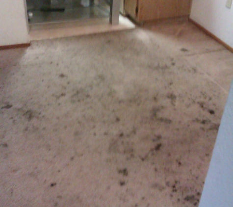 Able Body Carpet Cleaning LLC - San Jose, CA