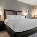 Comfort Inn & Suites Port Charlotte-Punta Gorda - Motels