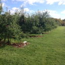 Stonehill Orchard - Orchards