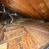 Elm Insulation & Sound Solutions gallery