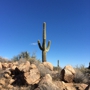 Brown's Ranch Trailhead