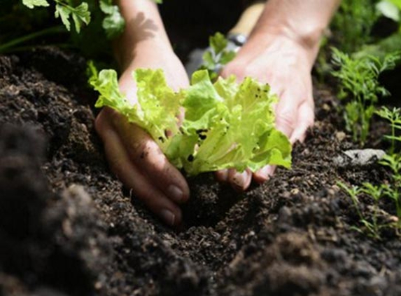 Jarvis T & K Sand Soil & Gravel Pty Ltd - Lucknow, VIC