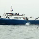 Spectre Dive Boat - Boat Rental & Charter