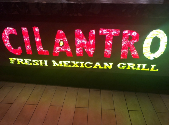 Cilantro Fresh Mexican Grill - New Haven, CT