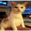 Elizabethtown Veterinary Hospital gallery