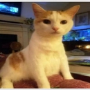 Elizabethtown Veterinary Hospital - Veterinary Labs