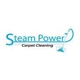 Steam Power Carpet Cleaning