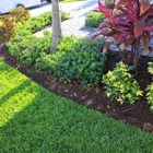 Everglades Lawn and Landscaping