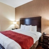 Comfort Suites Dulles Airport gallery