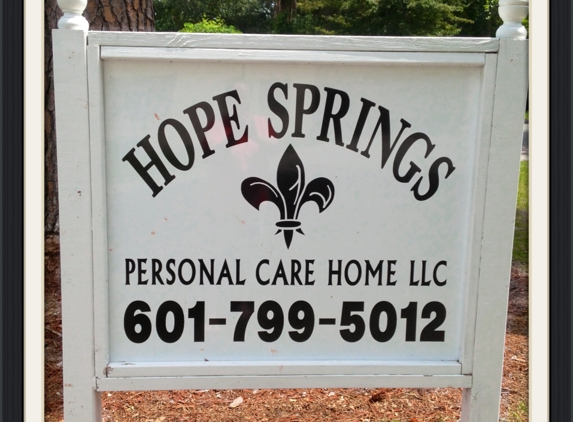 Hope Springs LLC Personal Care Home - Picayune, MS