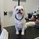 Scissors n Sudzs Pet Salon LLC - Pet Specialty Services