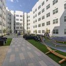 Gravitate Reno - Apartments