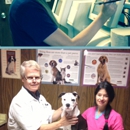 North Suburban Veterinary Hospital - Veterinarians