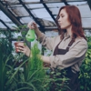 Quality Pest Control gallery