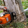 Three Monkeys Tree Service San Antonio gallery
