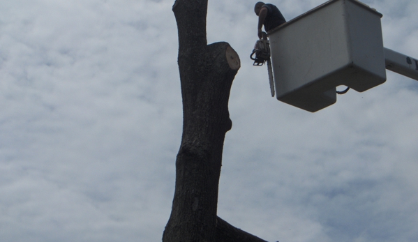 Brad's Tree Service Inc. - Gloucester, VA