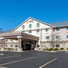 Comfort Suites Stevensville-St. Joseph gallery