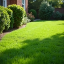 Turf Chief Lawn Care - Pest Control Equipment & Supplies
