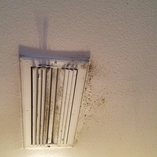 Bell Air Conditioning - Irving, TX. Mold/Mildew growing on vent in den.