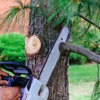 Dany Tree Service Corp gallery