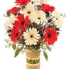 Lebens Floral & Gardens gallery