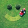 American Lawn Care & More gallery