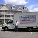 Steamaway LLC - Carpet & Rug Cleaners