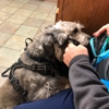 Homestead Animal Hospital gallery