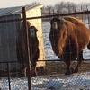 Hemker Park and Zoo gallery