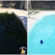 Chlorine King Pool Service