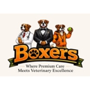Boxers Bed & Biscuits — PAW-PLEX - Pet Services
