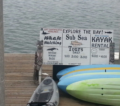 Sub Sea Tours and Kayaks - Morro Bay, CA