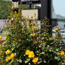 Beech Tree Cafe