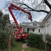 Allstate Tree & Landscape Group gallery