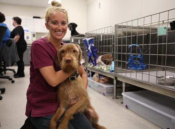 Seattle Veterinary Specialists - Seattle, WA