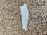 Custom Concrete Coatings - Concrete Staining Services