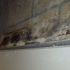 Bay Area Mold Services gallery